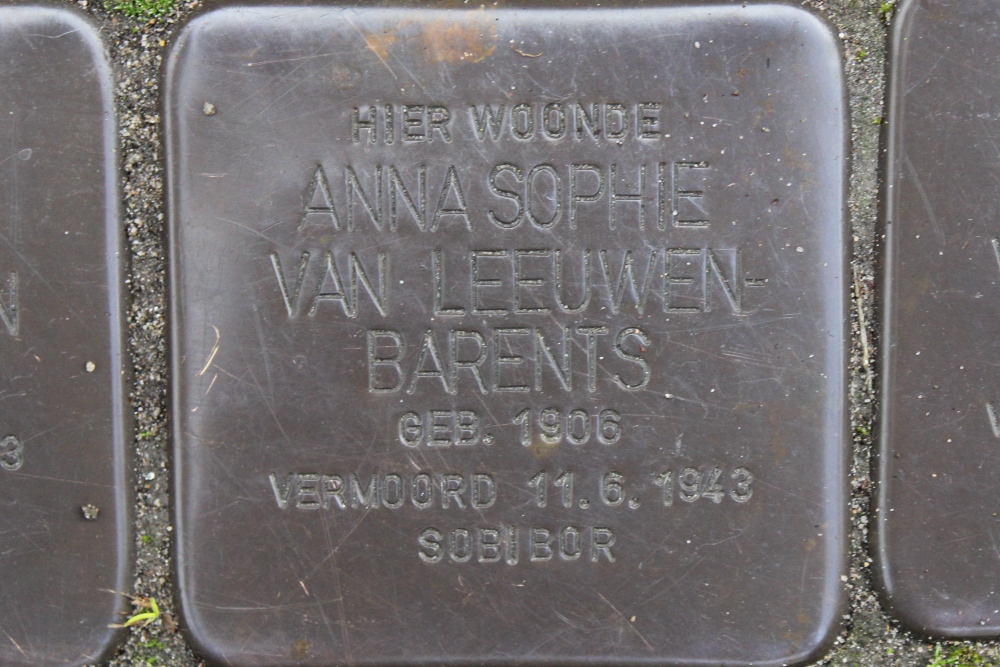 Stumbling Stones Dantelaan 71 #3