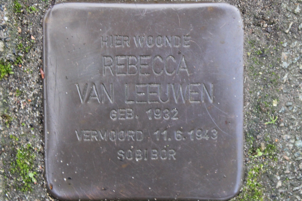 Stumbling Stones Dantelaan 71 #5