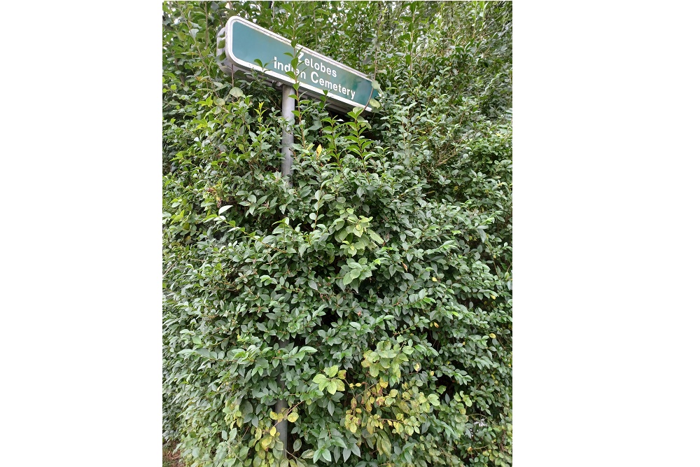 Commonwealth War Cemetery Zelobes (Indian) #3