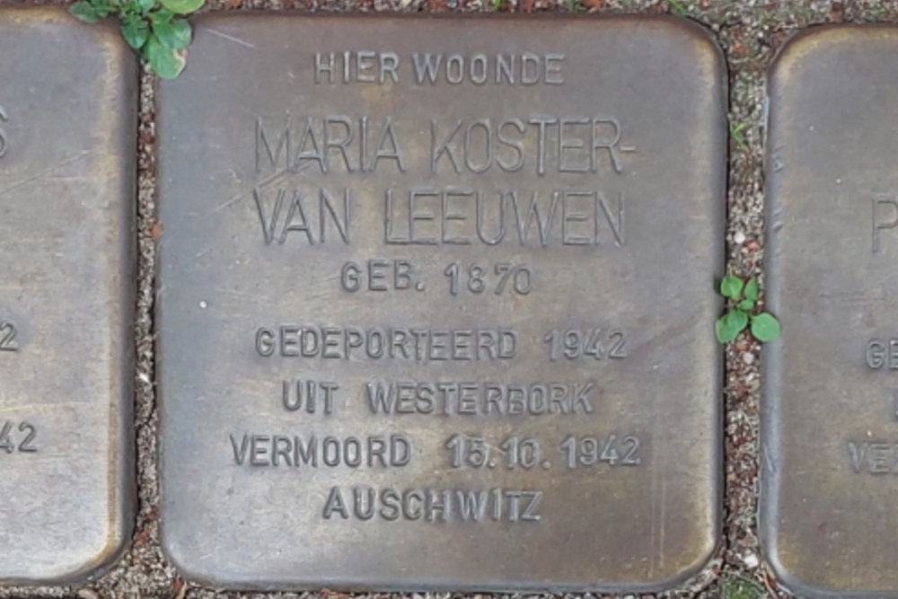 Stumbling Stones Burgemeester Meineszlaan 25b #3