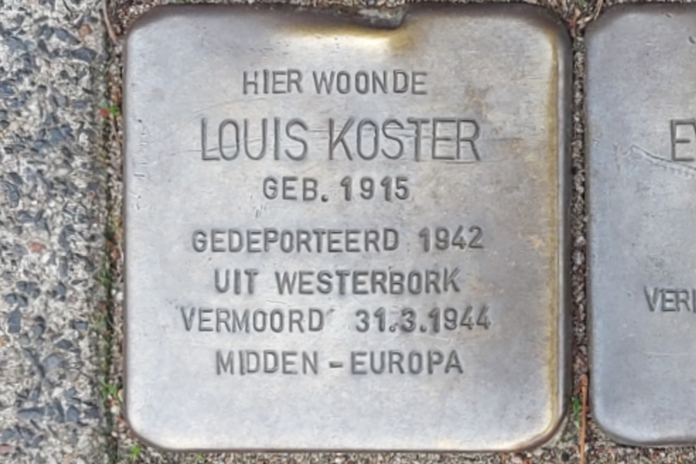 Stumbling Stones Burgemeester Meineszlaan 25b #5