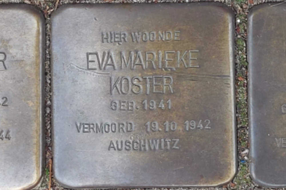 Stumbling Stones Burgemeester Meineszlaan 25b #6