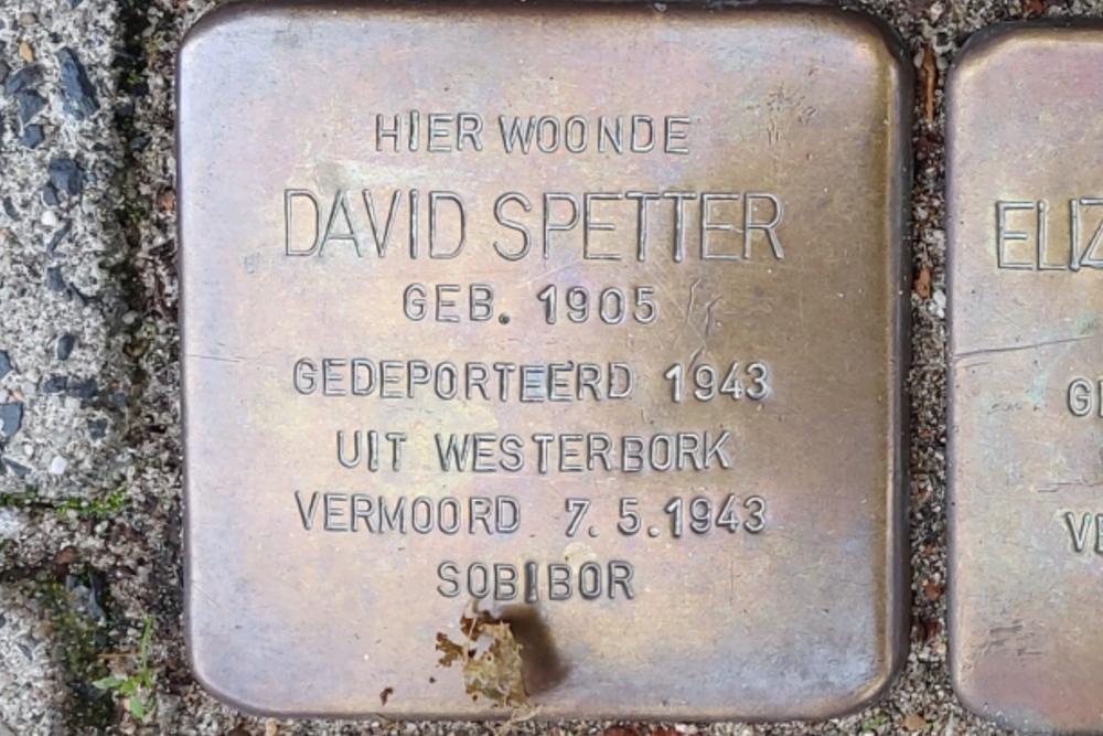 Stumbling Stones Burgemeester Meineszlaan 27a #5