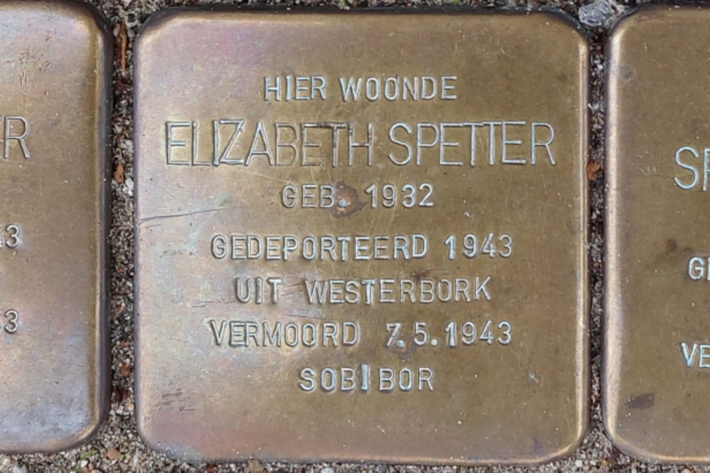 Stumbling Stones Burgemeester Meineszlaan 27a #6