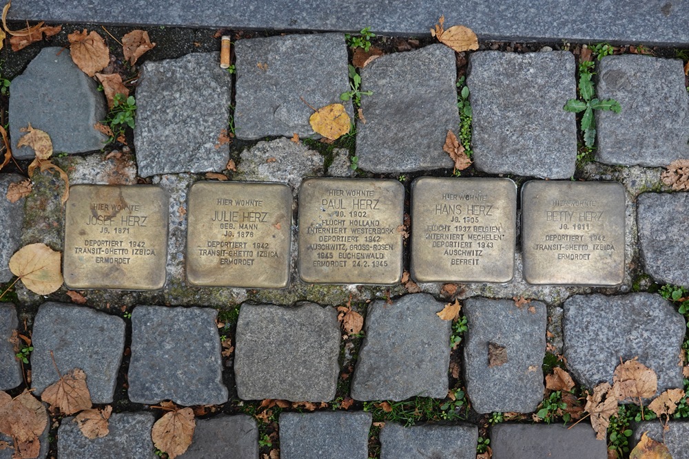 Stolpersteine Peterstraße 1