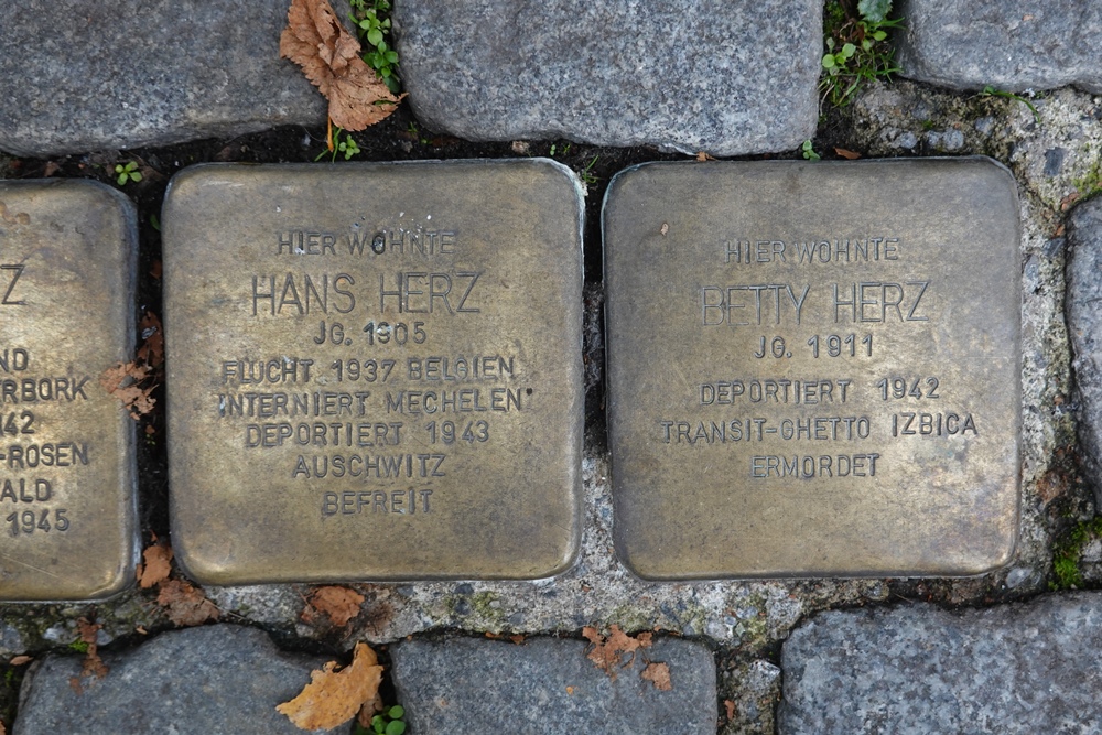 Stumbling Stones Peterstraße 1 #4