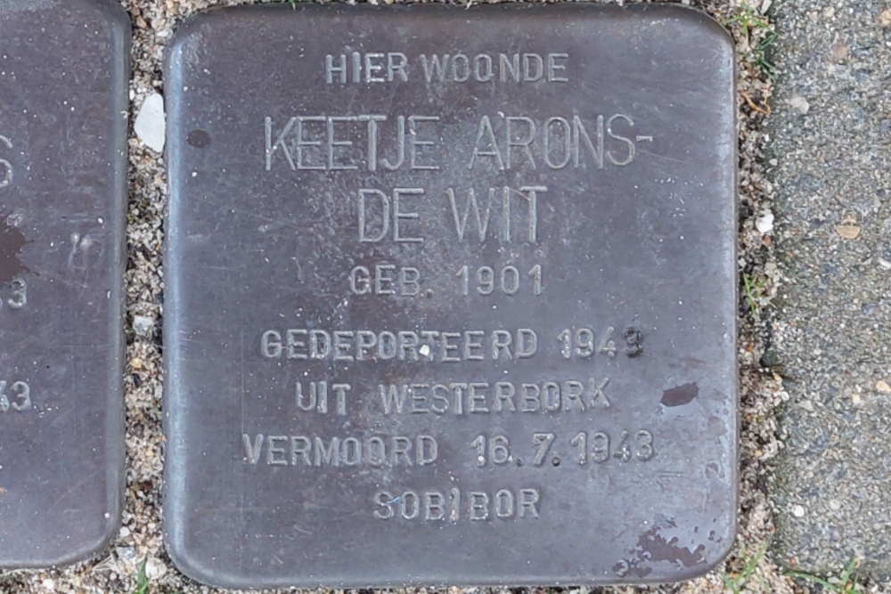 Stumbling Stones Burgemeester Meineszlaan 39a #5