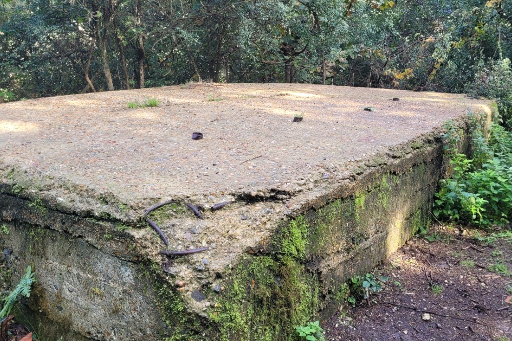 Pillbox Type FW3/22 Shorncliffe #2
