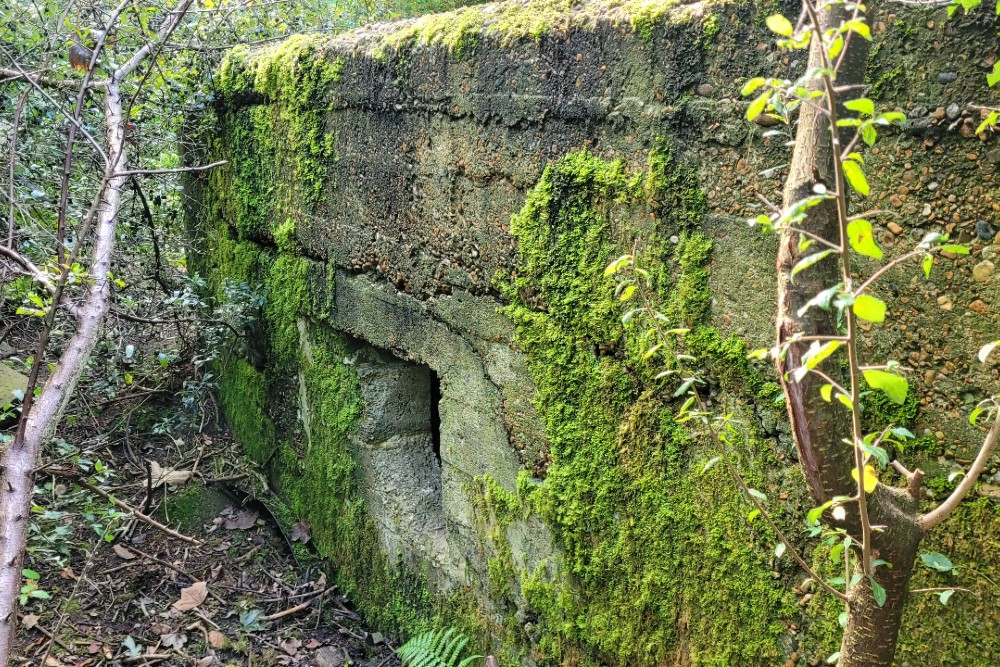 Pillbox Type FW3/22 Shorncliffe #3