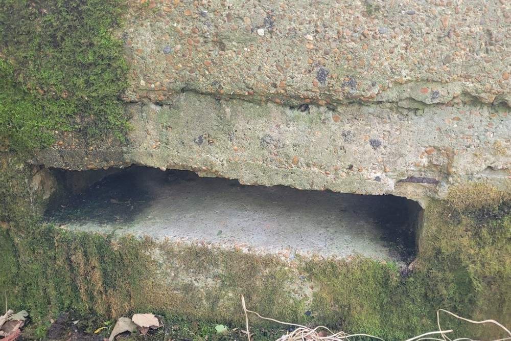 Pillbox Type FW3/22 Shorncliffe #4