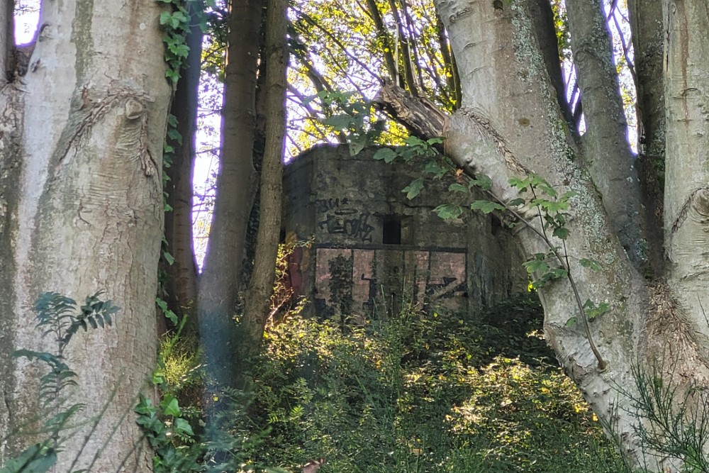 Bunker FW3/22 Sandgate #2