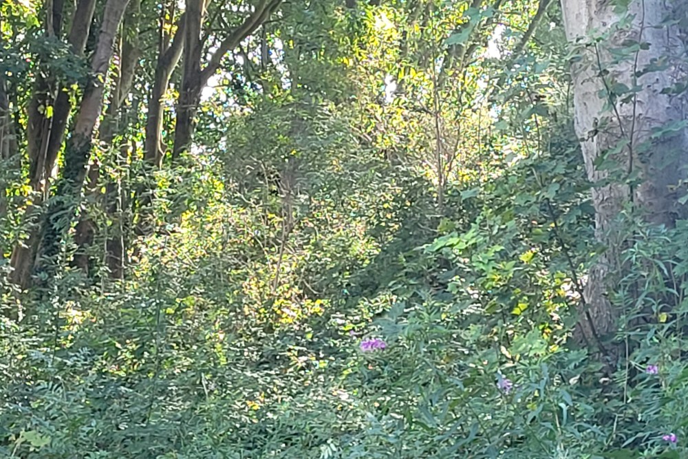 Bunker FW3/22 Sandgate #3