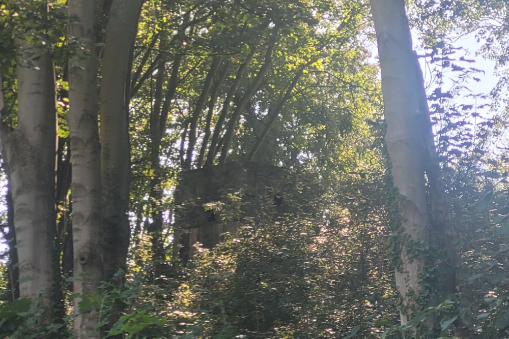 Bunker FW3/22 Sandgate #4