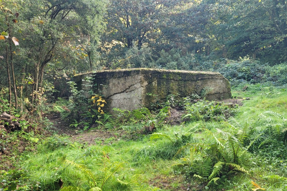 Pillbox Type FW3/22 Shorncliffe