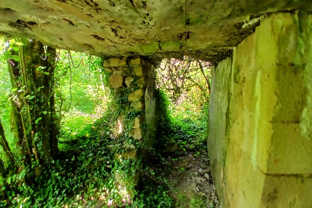 Batterie de Damloup #2