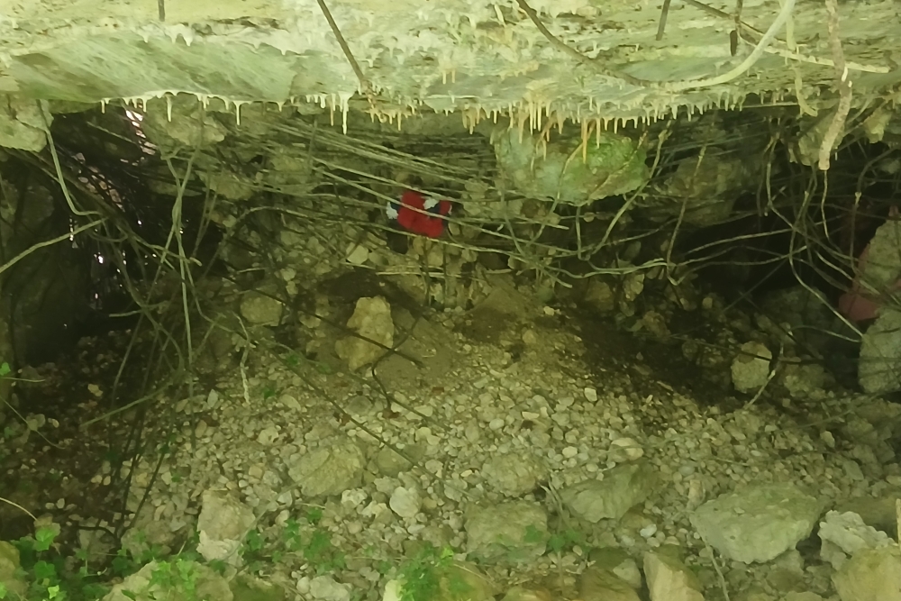 Batterie de Damloup #3