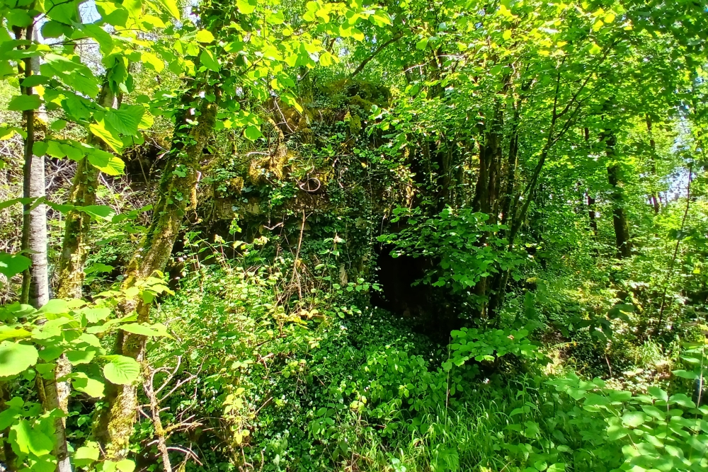 Batterie de Damloup #5