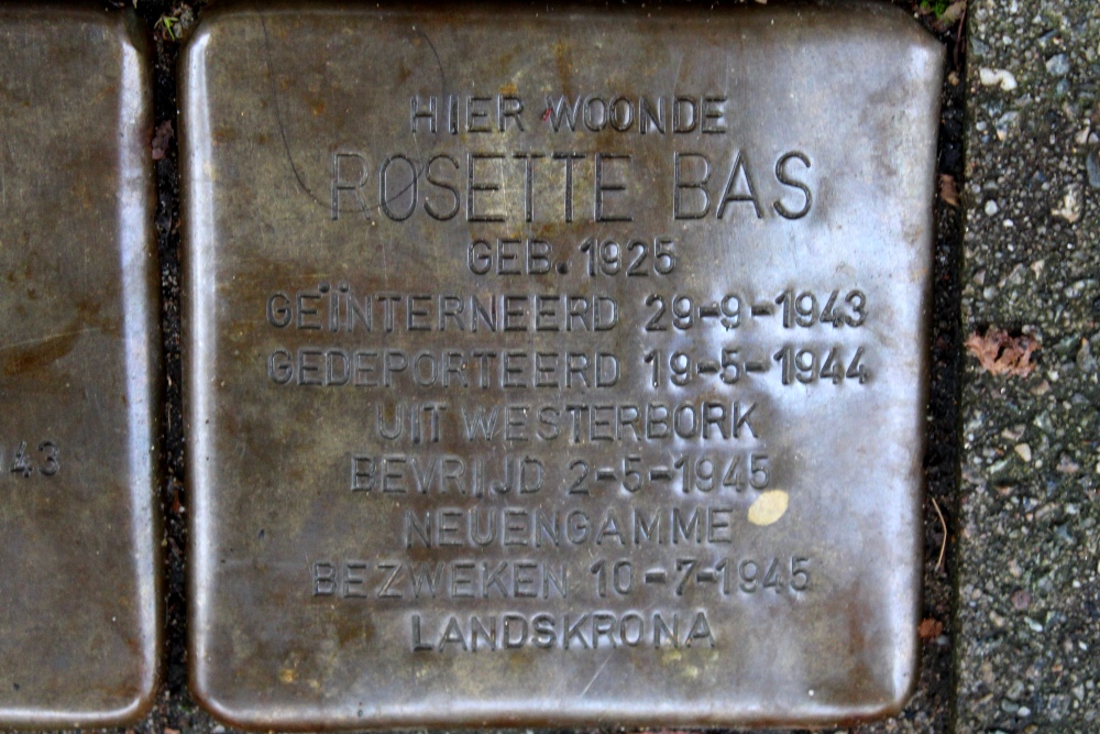 Stumbling Stones Den Texstraat 46 #5