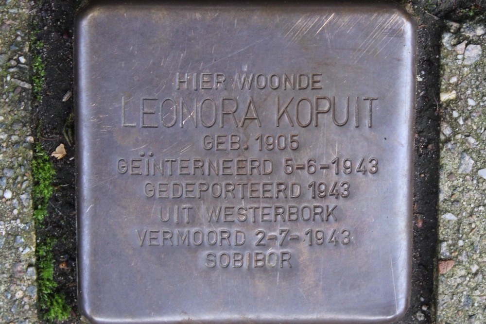 Stumbling Stone Tweede Helmersstraat 74