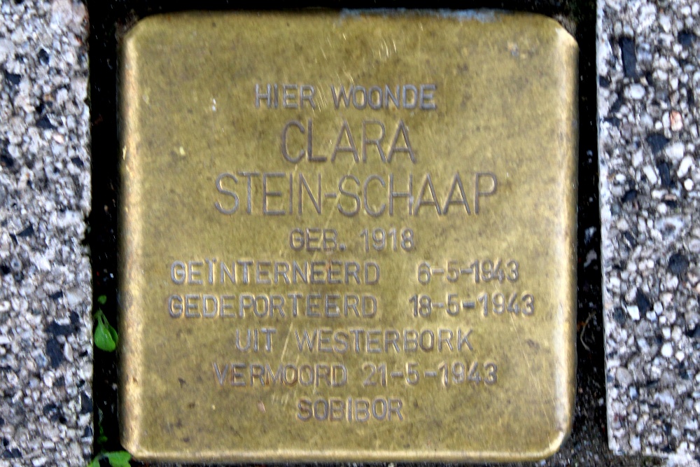 Stumbling Stone Albert Cuypstraat 185