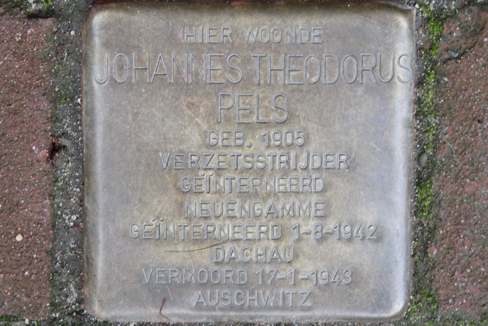 Stumbling Stone Daniël Stalpertstraat 26