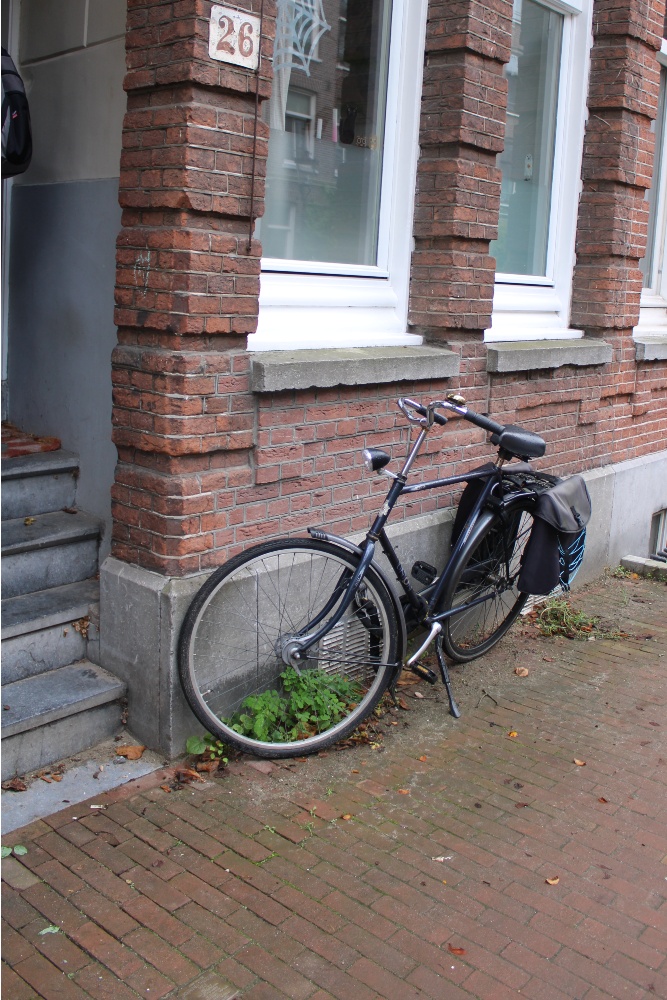 Stumbling Stone Daniël Stalpertstraat 26 #2