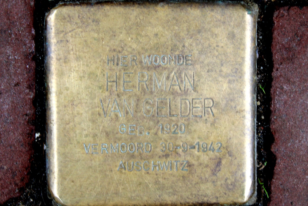 Stumbling Stone Govert Flinckstraat 280