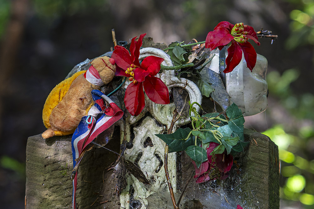 Graf Franse Soldaat Augustus 1870 #4