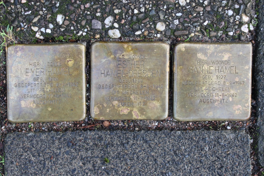 Stumbling Stones Lijsterbeslaan 13 #1