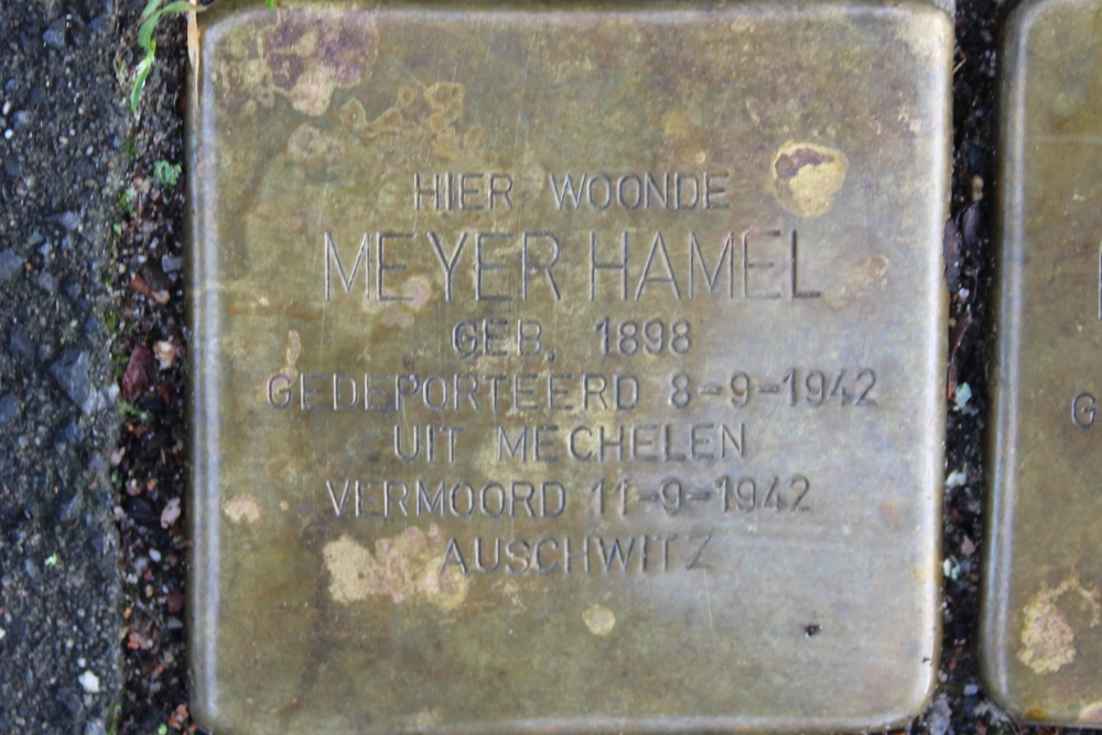 Stumbling Stones Lijsterbeslaan 13 #2