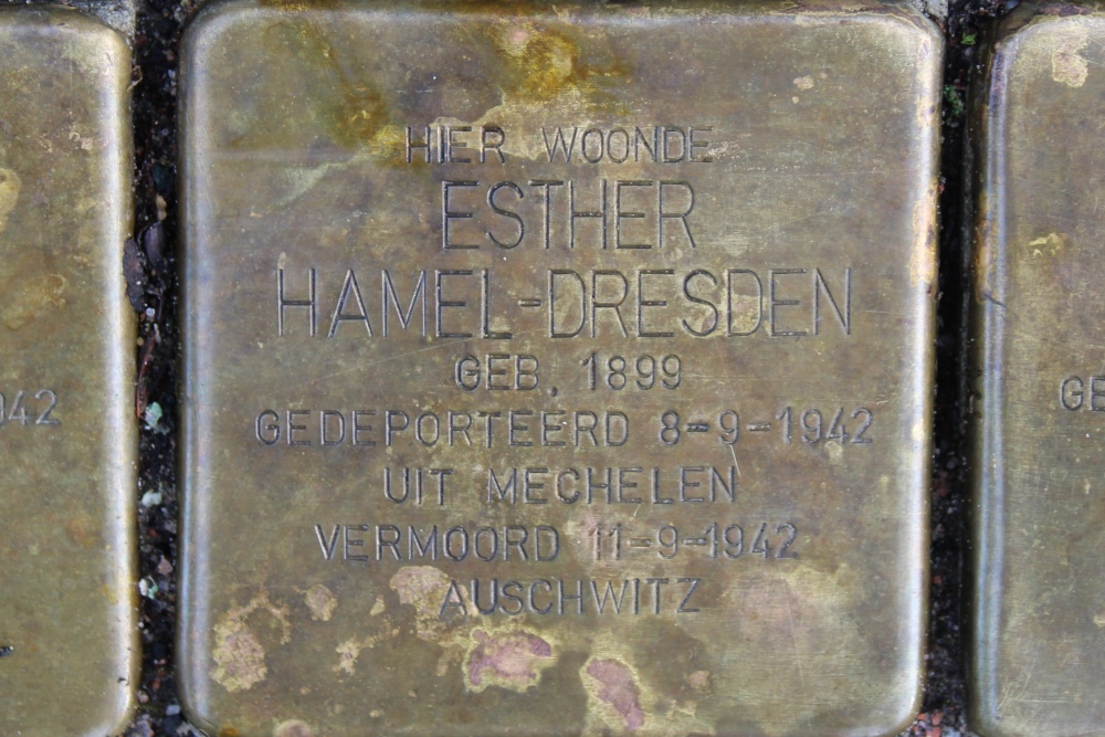 Stumbling Stones Lijsterbeslaan 13 #3