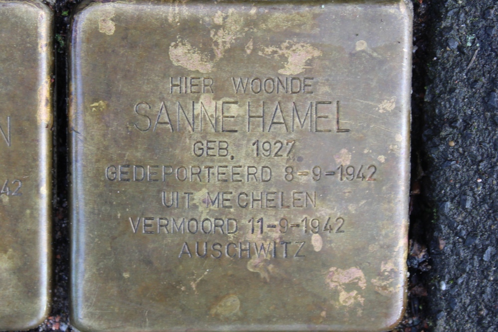 Stumbling Stones Lijsterbeslaan 13 #4