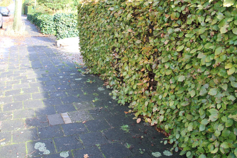 Stumbling Stones Lijsterbeslaan 13 #5