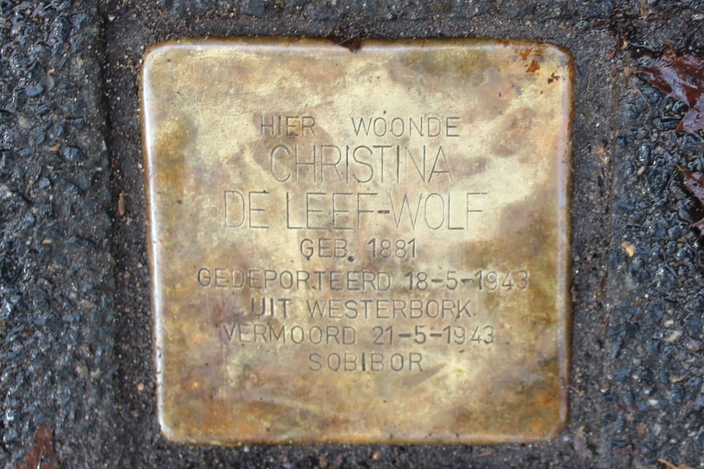 Stumbling Stone Bosdrift 16 #1