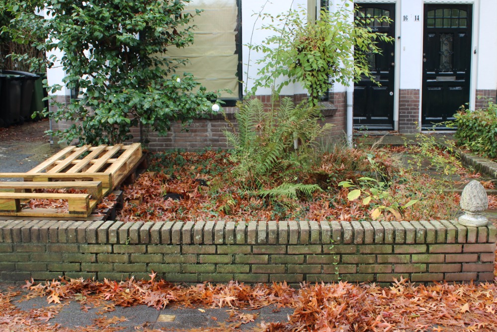 Stumbling Stone Bosdrift 16 #2