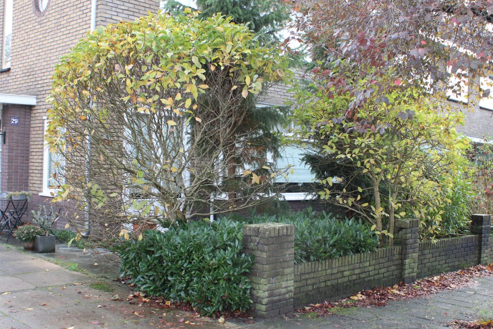 Stumbling Stone Vosmaerlaan 29 #2