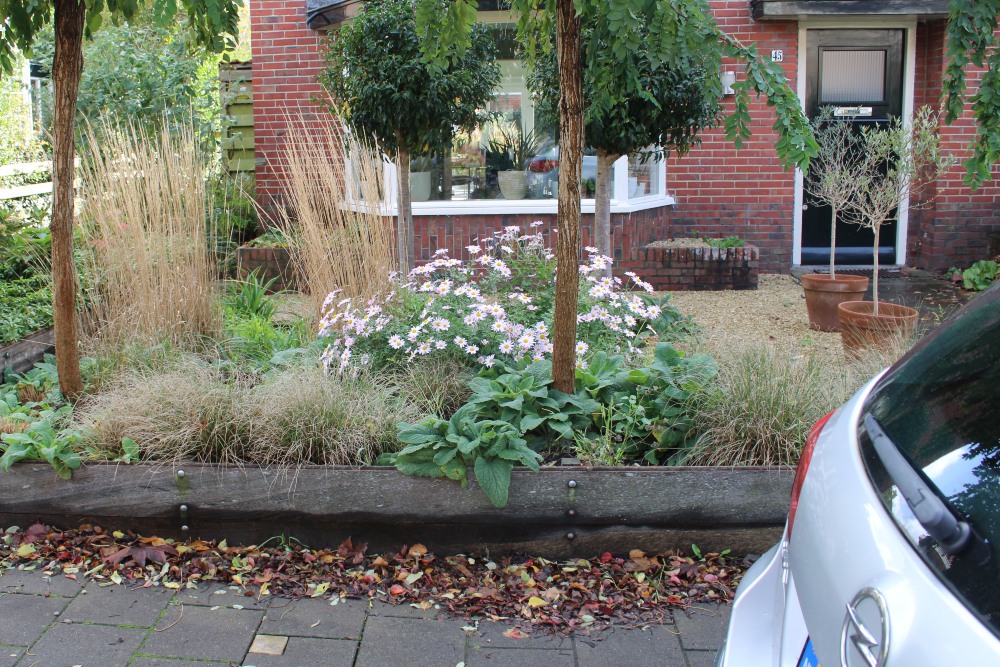 Stolperstein Bilderdijklaan 45 #2