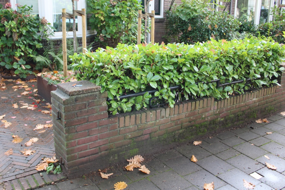 Stolperstein Beetslaan 1 #2