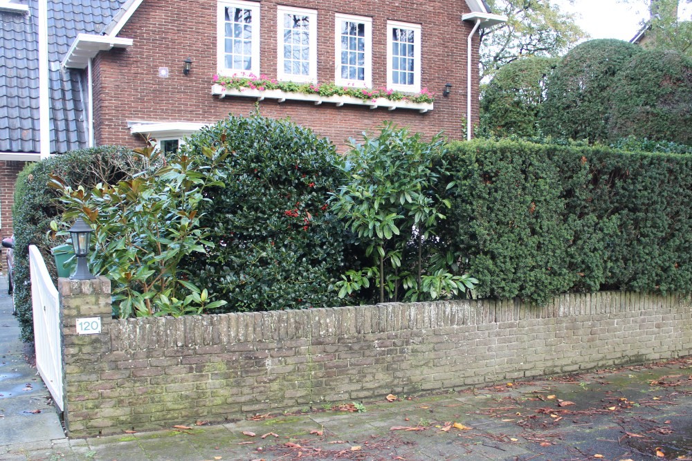 Stumbling Stones Johannes Geradtsweg 120 #6