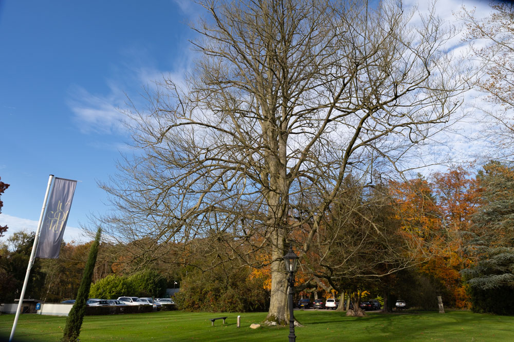 Monument Drama van Groot Engelenburg #5