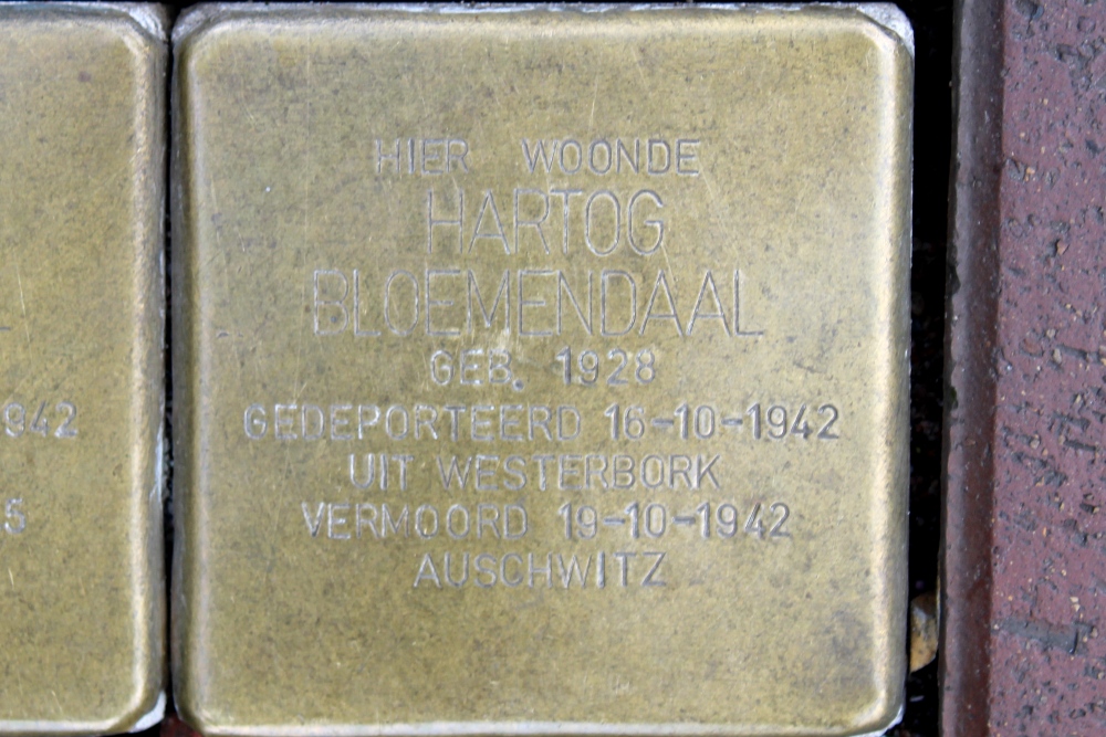 Stumbling Stones head of the of the Leeuwenstraat (former Achterom11) #5