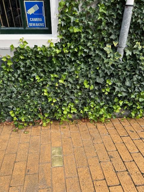 Stolpersteine Gedempte Zuiderdiep 113 #3