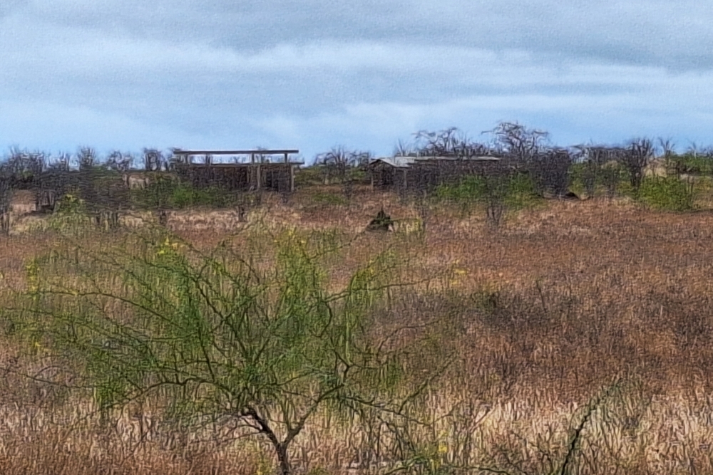 Voormalige US Airforce basis The Rock, Baltra Eiland #2