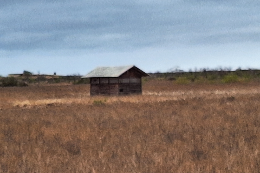 Voormalige US Airforce basis The Rock, Baltra Eiland #3