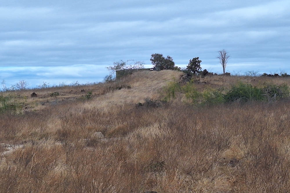 Voormalige US Airforce basis The Rock, Baltra Eiland #4