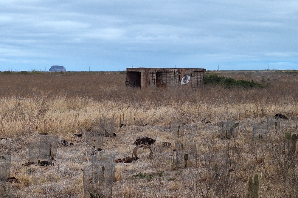 Voormalige US Airforce basis The Rock, Baltra Eiland #5