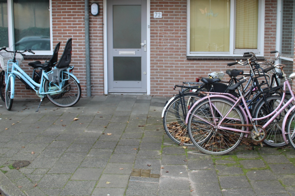 Stolpersteine Swammerdamstraat 72 #7