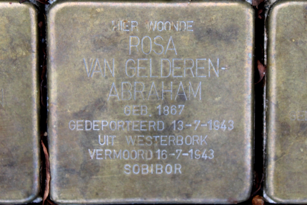 Stumbling Stones Swammerdamstraat 116 #3