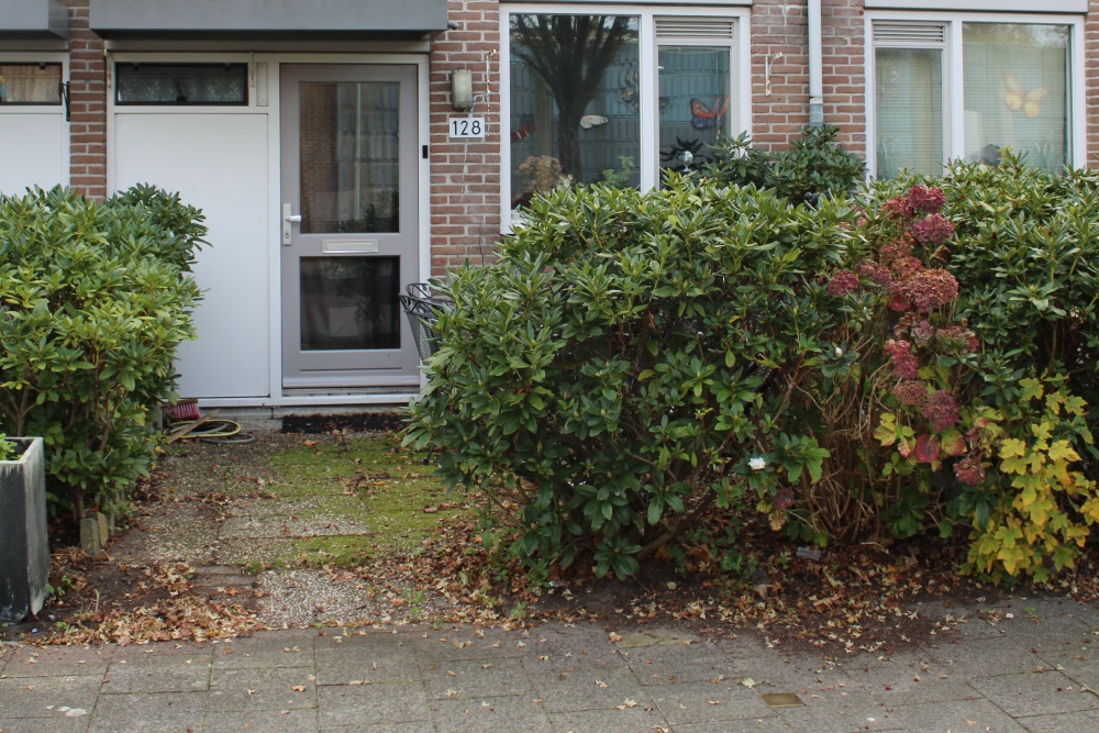 Stumbling Stone Swammerdamstraat 128 #2