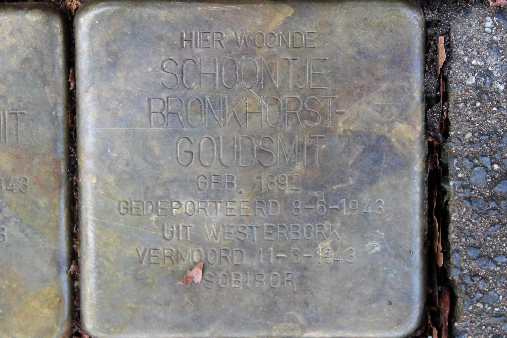 Stumbling Stones Kleine Drift 82 #3